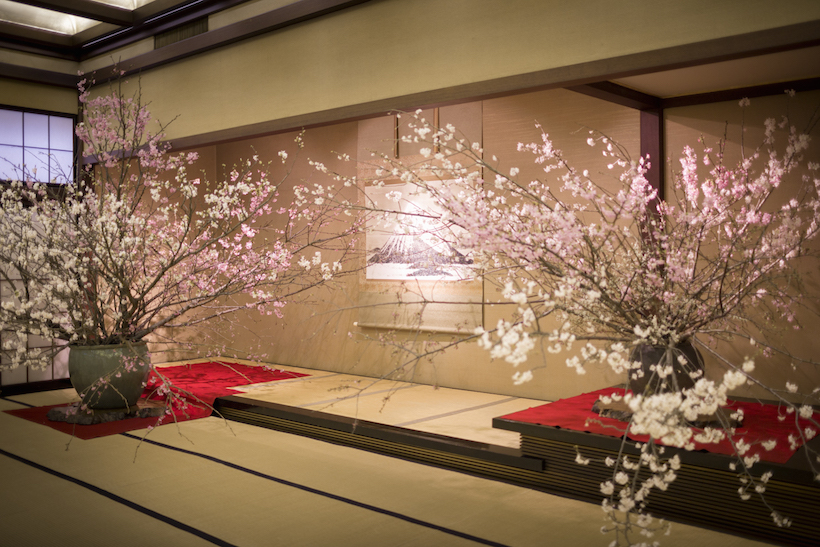 日本一贅沢な花見の宴「新喜楽観桜会」開催しました