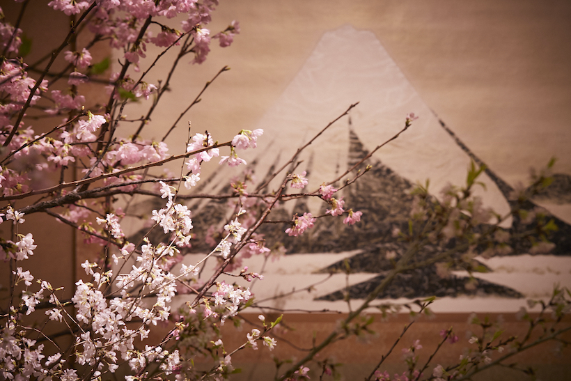 日本一贅沢な花見の宴「新喜楽観桜会」開催しました