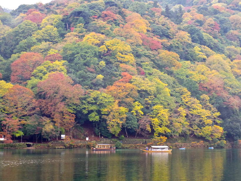 【和塾の船遊び】嵐山紅葉狩りと京都吉兆の美食