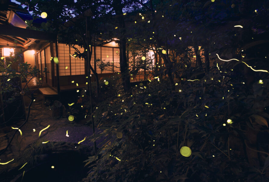 AN ENCHANTED EVENING OF 1,000 GENJI FIREFLIES IN A WHIRLING DANCE – KYOTO’s ‘HYOTEI’ FIREFLY FEAST